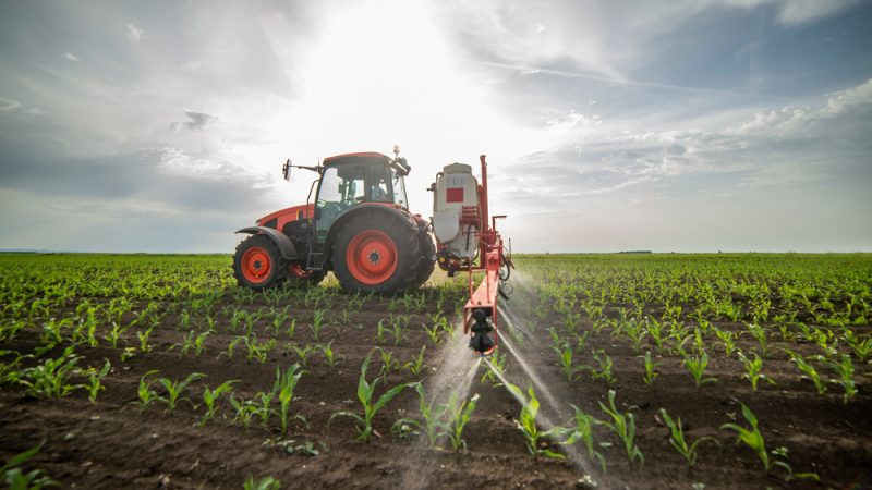 You are currently viewing S-métolachlore : vers une possible interdiction de l’herbicide au niveau européen